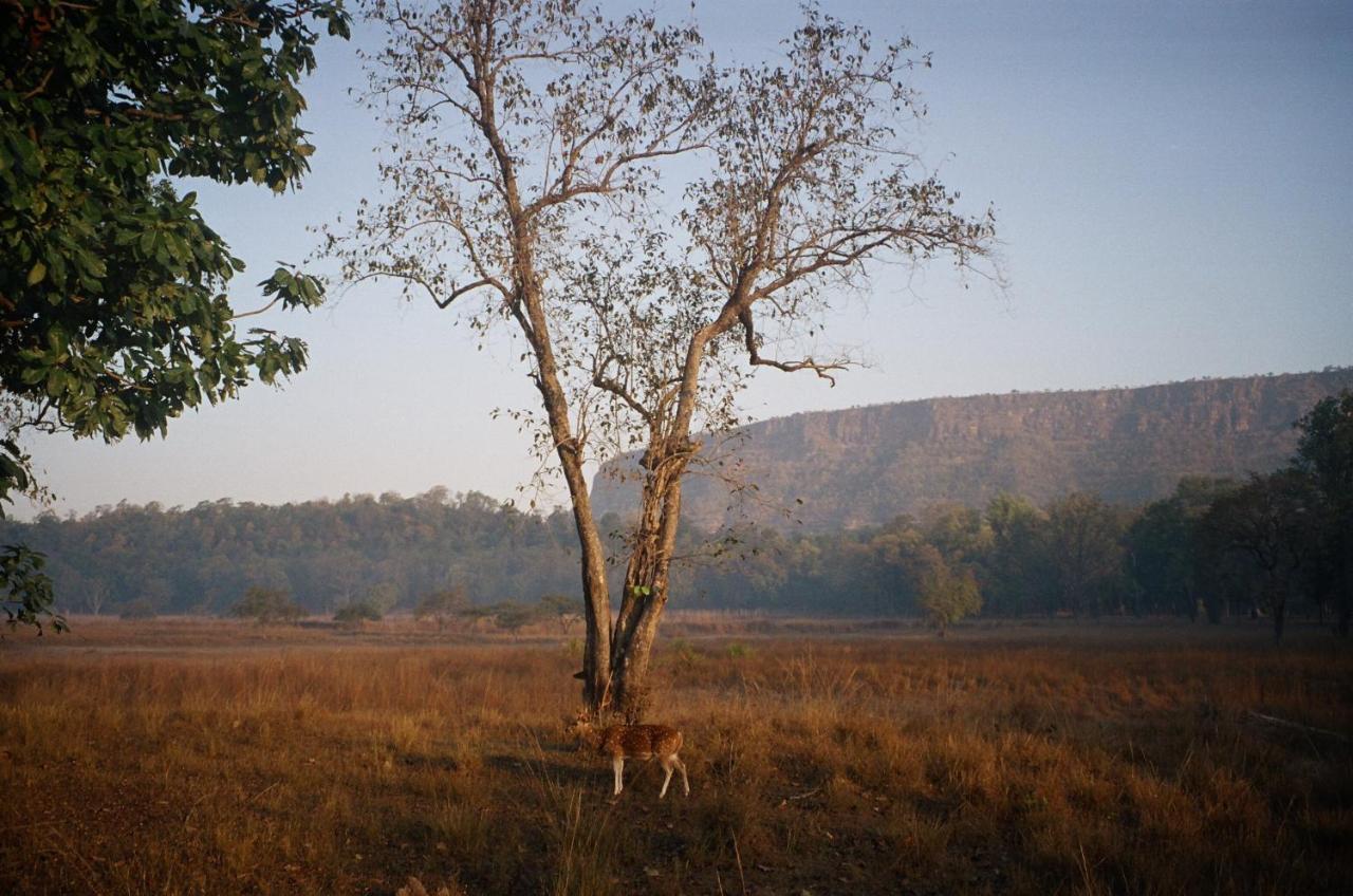 Bandhavgarh Jungle Lodge Tāla Exterior foto
