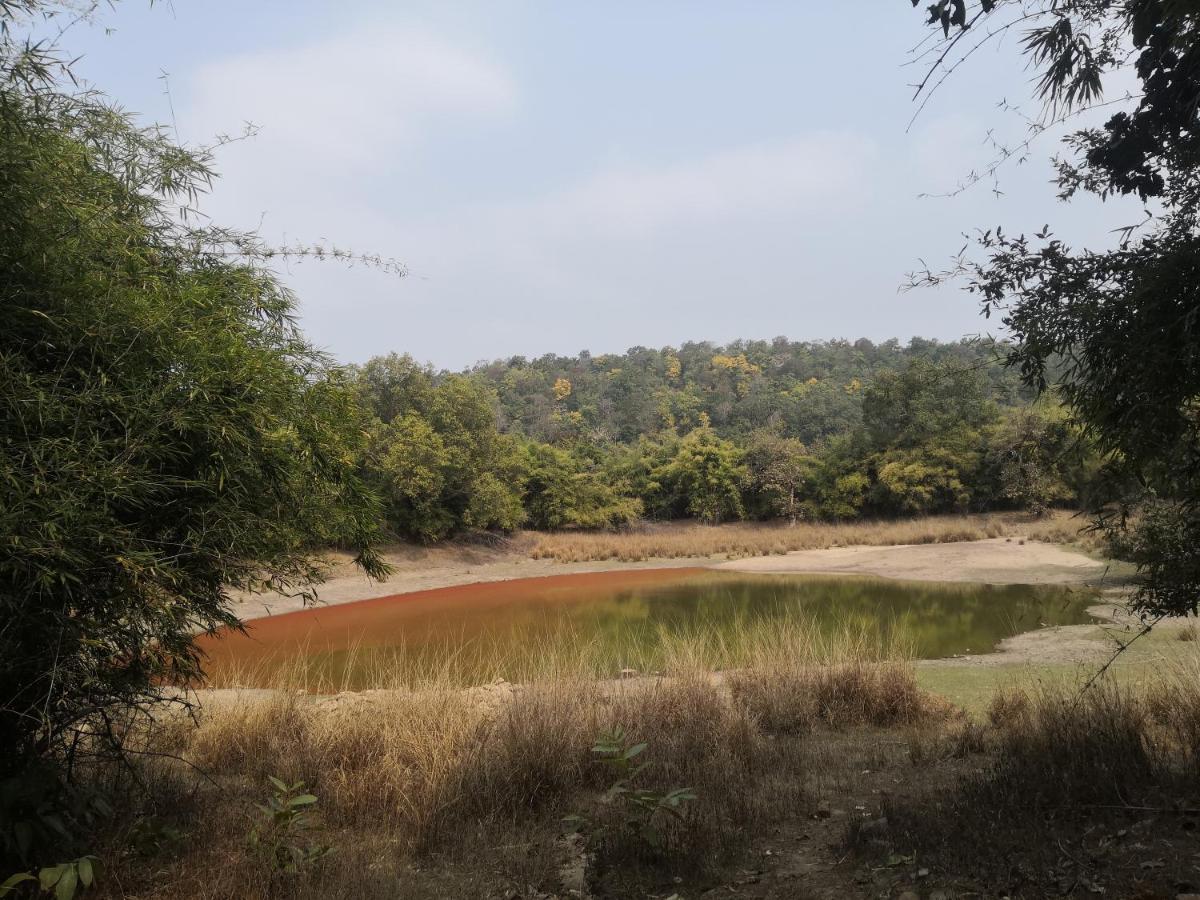 Bandhavgarh Jungle Lodge Tāla Exterior foto