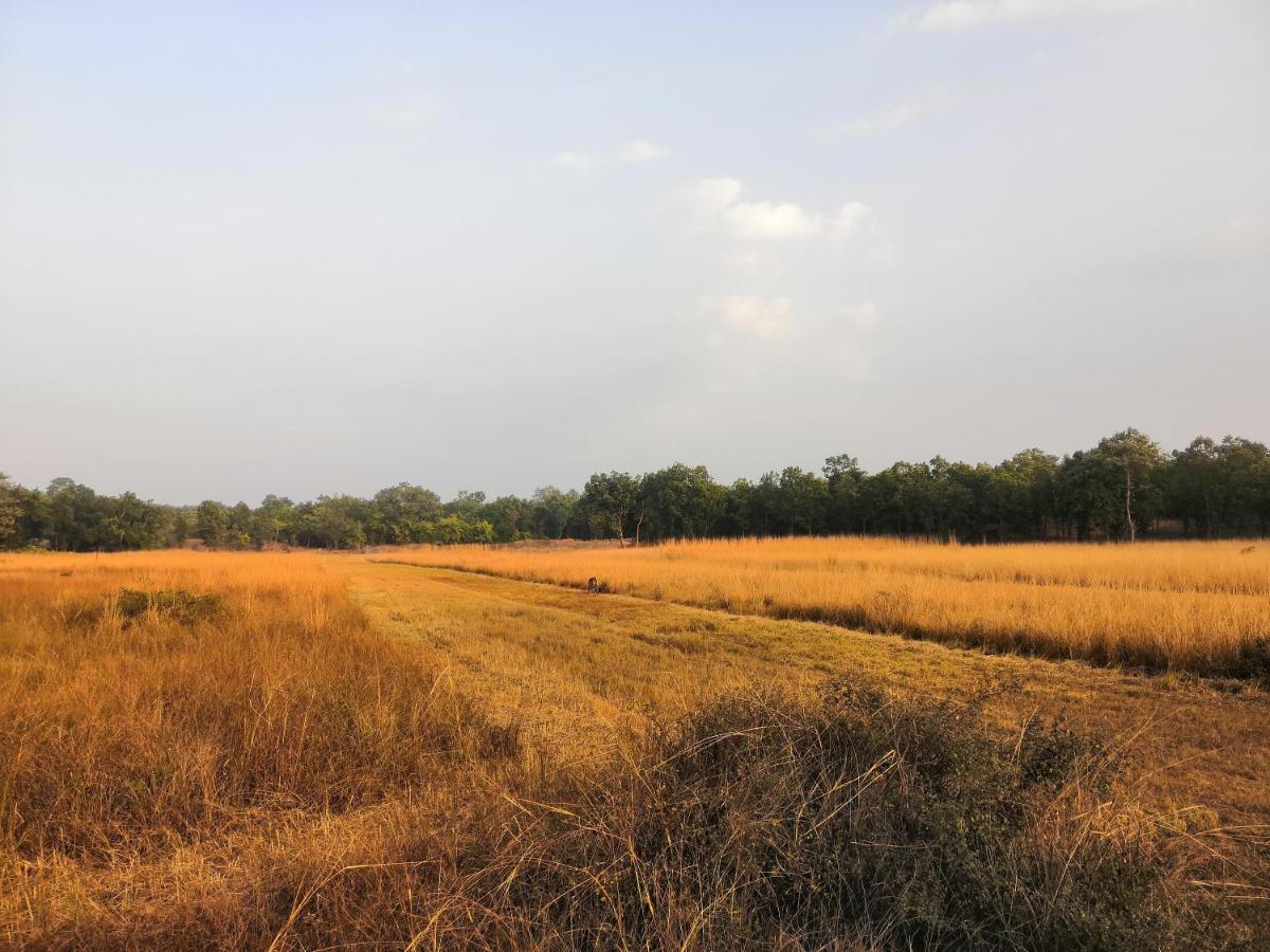 Bandhavgarh Jungle Lodge Tāla Exterior foto